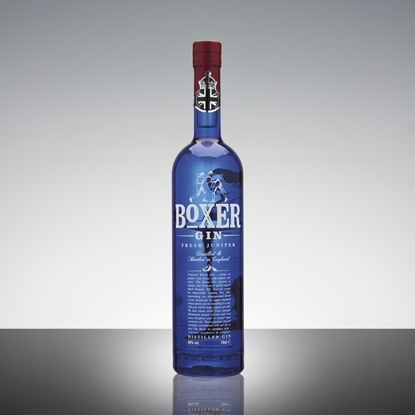 Immagine di BOXER GIN  CL.70