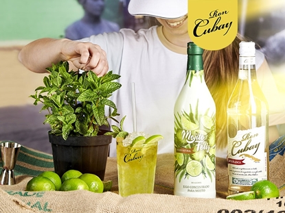 Immagine di KIT MOJITO FELIZ (3 CUBAY BLANCO + 3 MOJITO)
