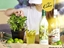 Immagine di KIT MOJITO FELIZ (3 CUBAY BLANCO + 3 MOJITO)