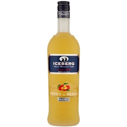 Immagine di VODKA ICEBERG PESCA LT.1
