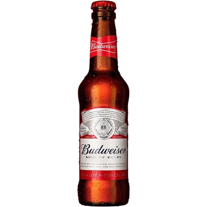 Immagine di BIRRA BUD  CL.33X24