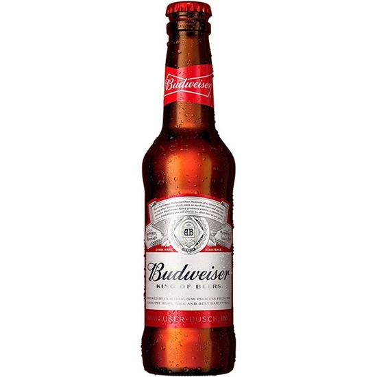 Immagine di BIRRA BUD  CL.33X24