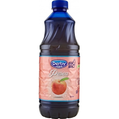 Immagine di SUCCO DERBY PESCA PET LT.1,5X6