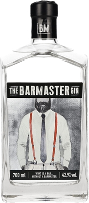 Immagine di GIN BARMASTER CL.70