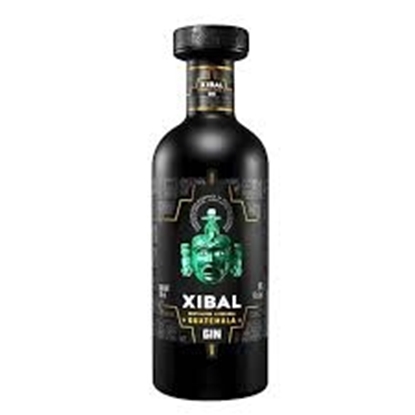 Immagine di GIN XBALL  CL.70