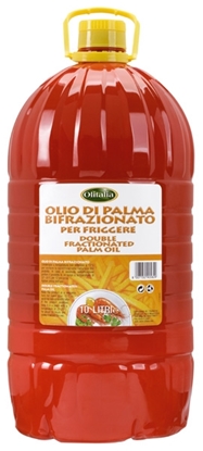Immagine di OLIO PALMA LT.10 X 2